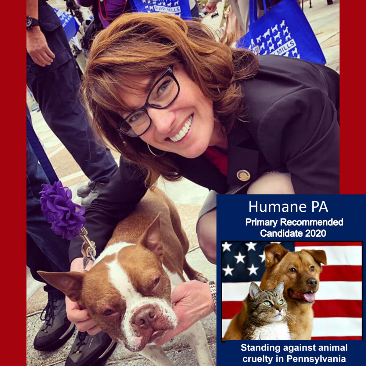 MaryIsaacsonPA's tweet photo. Very proud to be endorsed by @HumanePA for my legislation and advocacy to end animal cruelty across our state! #endpuppymills #HumanePA #stopanimalcruelty https://t.co/SLZGHEUjLP