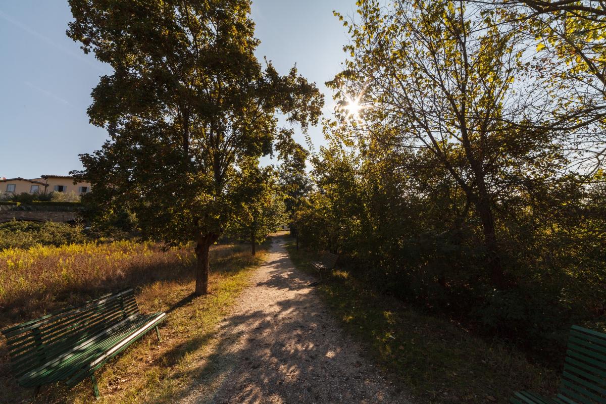 feelflorenceoff's tweet photo. Fancy a walk among famous villas that were a haven for writers and artists, woods of holm-oaks and cypresses, fresh streams and Italian style gardens? We are northeast of #Florence, just outside the city: around the village of #Settignano the valley of the Mensola river. https://t.co/L0WFTiJLbA