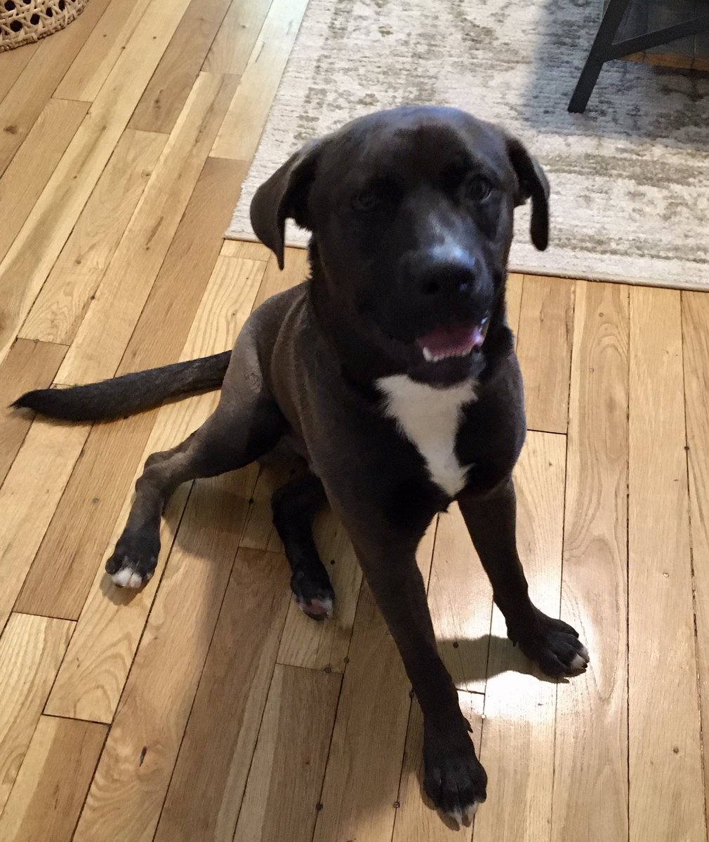 Sandhya Kajeepeta tweet media