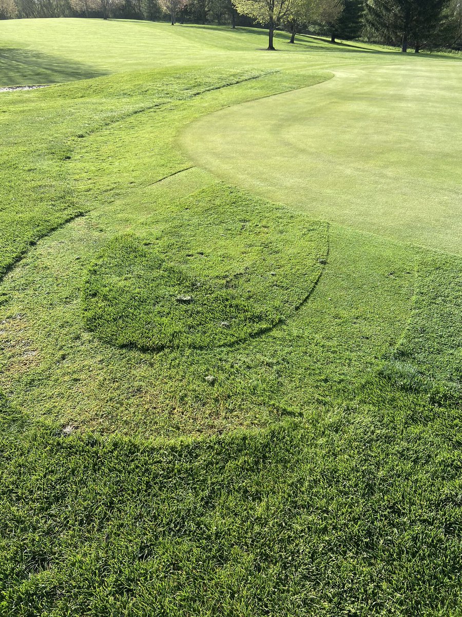 I hate that I can tweet this again but....Looks like the mower was sharper than the operator.