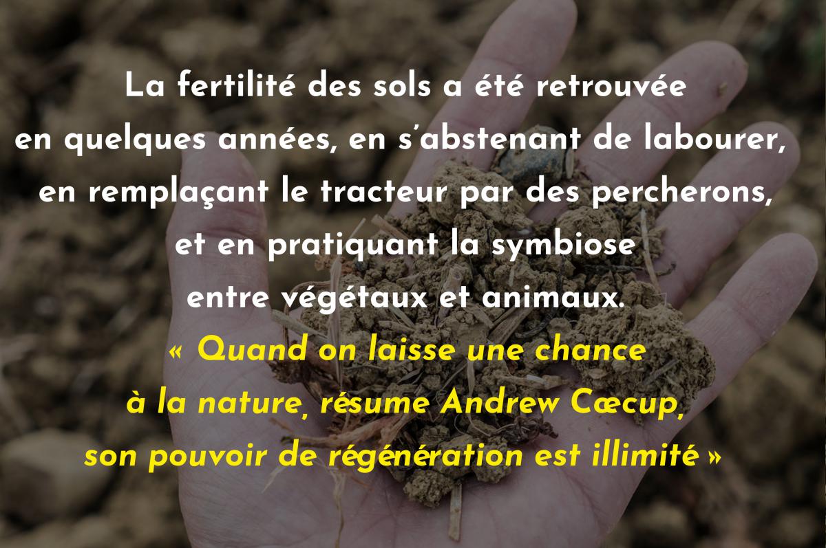 RestaurantsJgo's tweet photo. Vive le #BreadXit !
https://t.co/Ql3j6Av3Ln
Andy Cœcup, le + gascon des boulangers-paysans anglais, ns réconcilie avec le pain.
Sols vivants, mouture fraîche, meule de pierre… son pain nourrit le corps, l'âme et les sols.
Dispo à #Toulouse ds les paniers du dimanche. https://t.co/zYXIYTgCpr