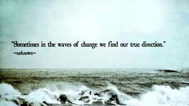 _vidhijoshi_'s tweet photo. This hard time of covid-19 is giving us time to decide our future path.. #UtiliseLockdownWisely #LockdownTaughtMe https://t.co/S0OCeRBWn3