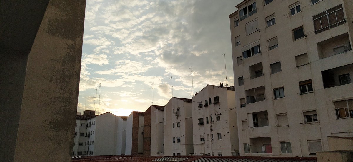 RobertoBaila's tweet image. #Caceis?