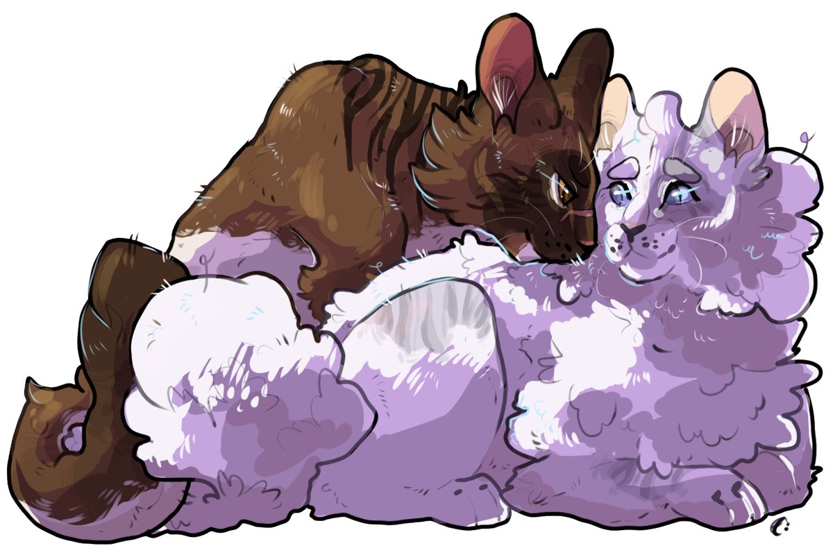 whimsyfinch's tweet photo. Don't trust handsome men, Softfall 
#fearpg #floralempires #rootclan #warriorcats https://t.co/IoU3IS3VKK
