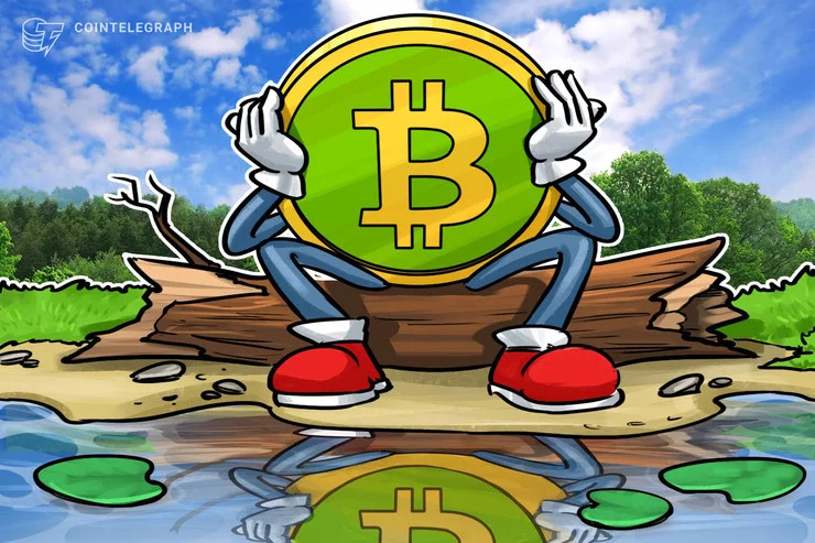 DailyBitcoin5 tweet picture