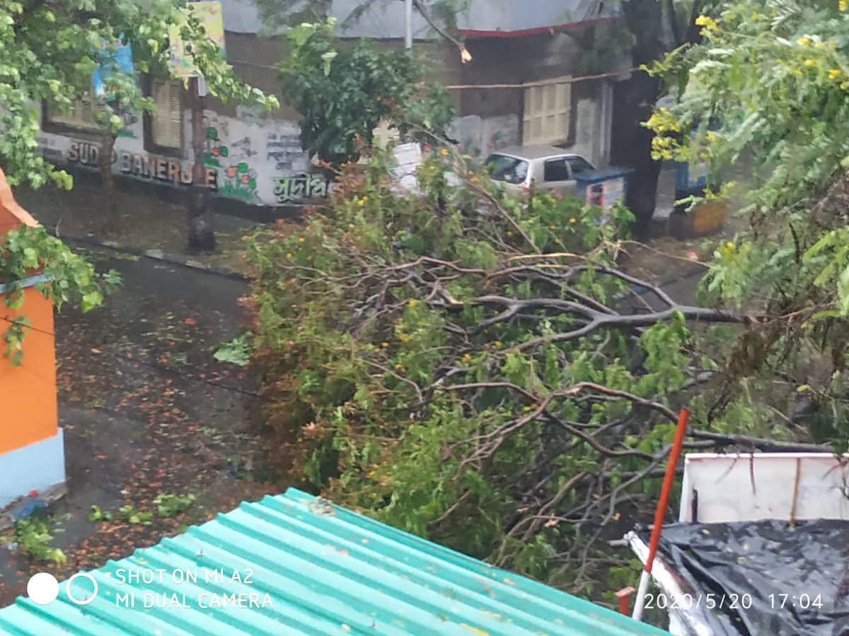 Souravcbwe's tweet photo. @IamSumanDe Tree fallen  down near C.G.S. Quarter, Narkeldanga, Kolkata-54 https://t.co/nz87xJG1NA