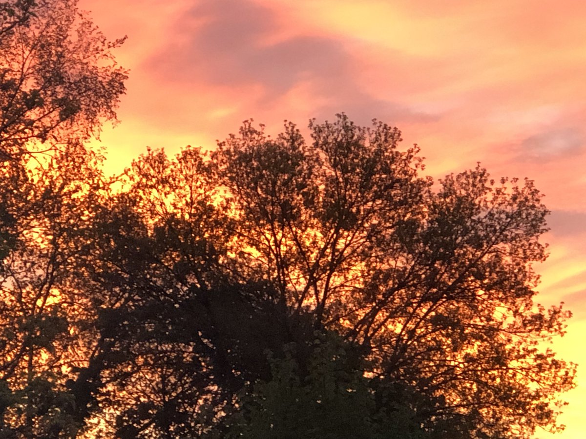 BHawkins3rd's tweet photo. Sure enjoyed the sunrise this morning after days and days of rain! https://t.co/iRkcTfnRqQ