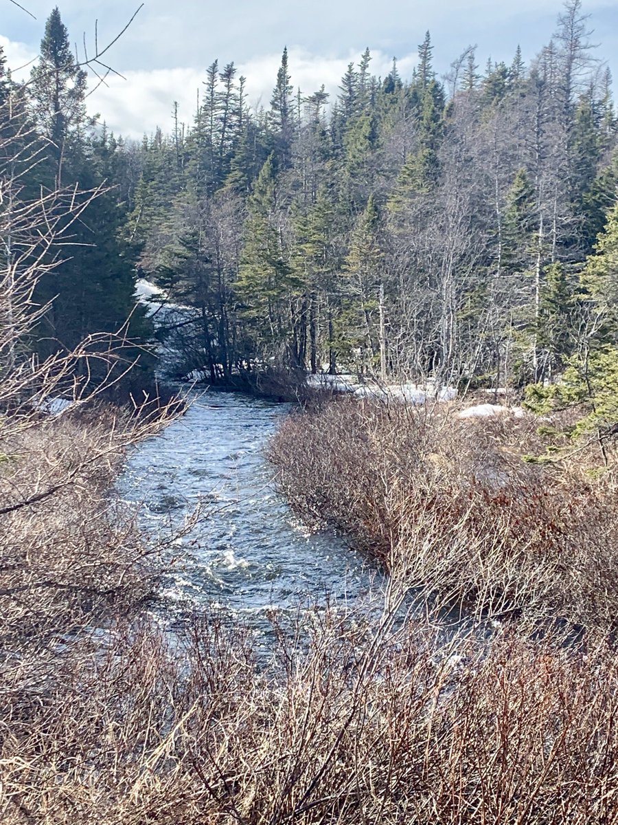 Tricentia Academy Athletics tweet media