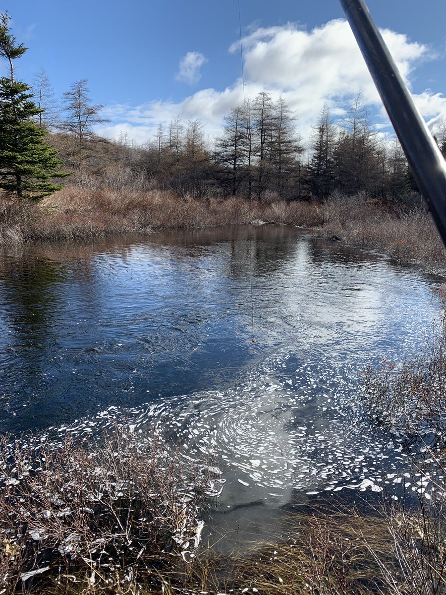 Tricentia Academy Athletics tweet media