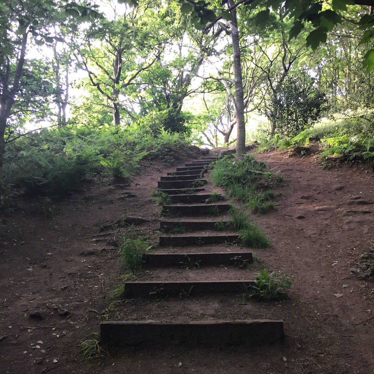 SaraBarrie's tweet photo. #Coachingtip What are your next steps to enhance your leadership capability❓

#executivecoaching #coaching #leadershipcoaching #nextsteps #leadershipcapability #impact #confidence #strength https://t.co/2xU93gxAAR