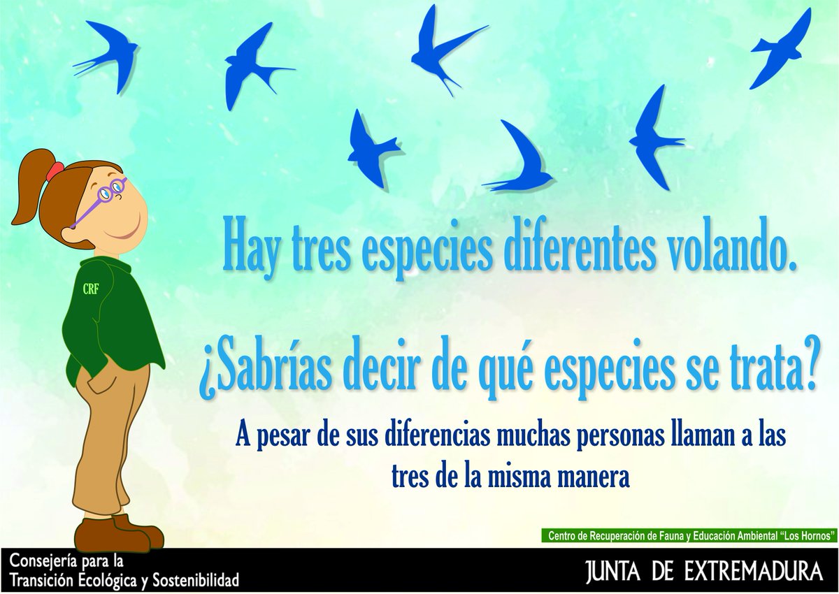 CLoshornos's tweet photo. ¡No destruyas sus nidos! Están protegidas y son un importante "insecticida natural"
#lafaunasilvestre. #educacionambiental. #centroderecuperaciondefauna https://t.co/JAeFHEA56a