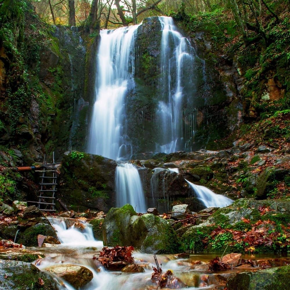 MacedoniaHolida's tweet photo. Koleshino Waterfall, situated in Novo Selo Municipality #northmacedonia

@a.aleksovski 
#visitmacedonia #macedoniaholidays https://t.co/D2dIvz1qK4