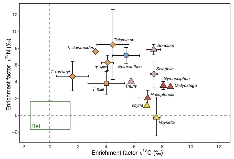 The results show that these plants are also enriched in the heavy carbon isotope, and most species also in the heavy nitrogen isotope (colours represent plant family)