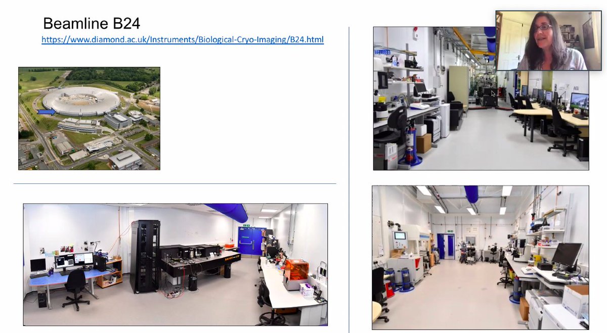 B24Light's tweet photo. Maria presenting our beamline in today @DiamondLightSou webinar. #cells #correlativeimaging #softxrays https://t.co/XwWlalRgiV