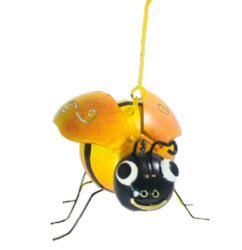 Happy world bee day!! #WorldBeeDay2020 We love our bees and all that they do for our planet! If you do too don’t forget we have a large range of bee products ideal for your garden 🐝