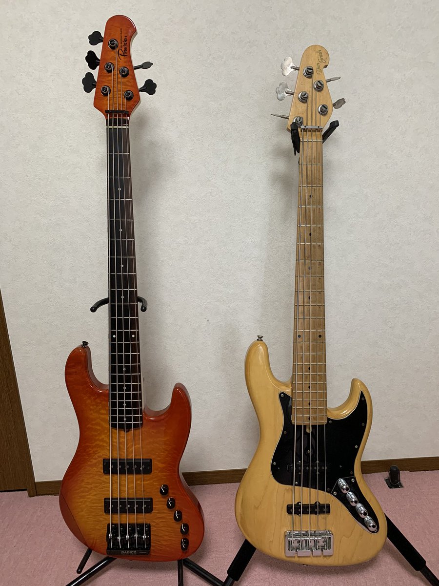 Provision 純正 5弦ベース ピックアップ サーキット 5 弦 プロビジョン ベース Provision 純正 5弦ベース ピックアップ