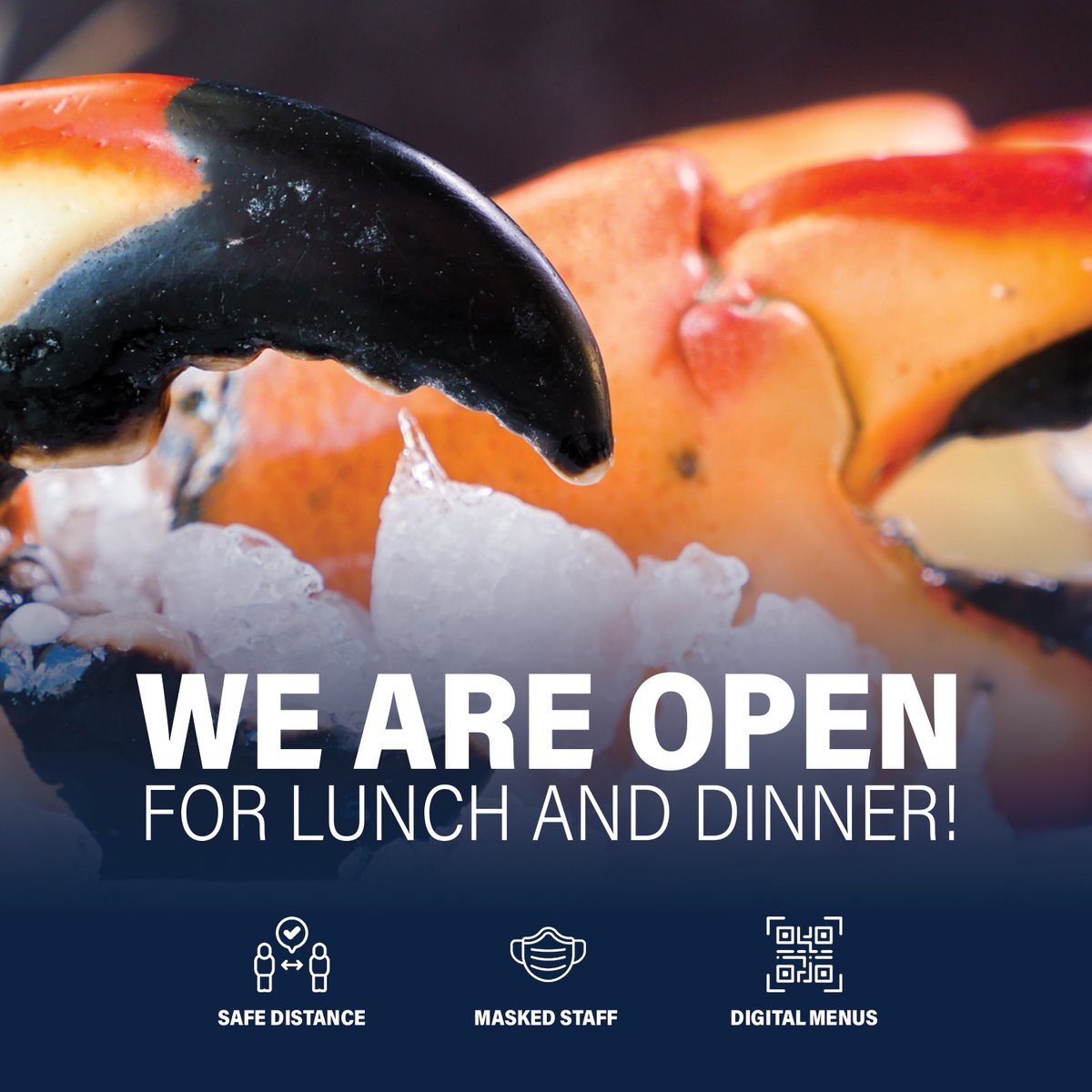 Come visit us at #BillysStoneCrabs and enjoy the best seafood at our famous Hollywood restaurant.

🦀 We are Open 🦀

.
.
.

#GrouperSeason #GrouperFish #Crabs #StoneCrabs #SeaFood #Billys #BillysStoneCrabs #SeaFoodOnline