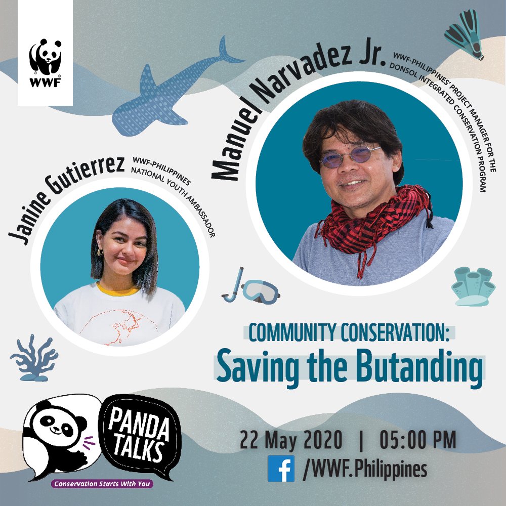 DENROfficial's tweet image. SAVE THE DATE! A discussion on the communities&apos; vital role in the conservation of whale sharks or butanding will be featured on #PandaTalks webisode on May 22 at 5:00 pm. #BiodiversityPH #ForNature 
LISTEN to the discussion &amp;amp; KNOW more 👉bit.ly/2ZiF7Xb
📸 WWF-Philippines