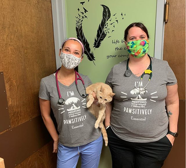 lovemedford's tweet photo. Medford Animal Hospital with Bello the kitty in their new "pawsitively essential" tees!
@medfordanimalhospital #destinationmedford #medfordnj #pets #NJpets #MarltonNJ #MountLaurel #LocalBusiness https://t.co/a0sGXgMZNm