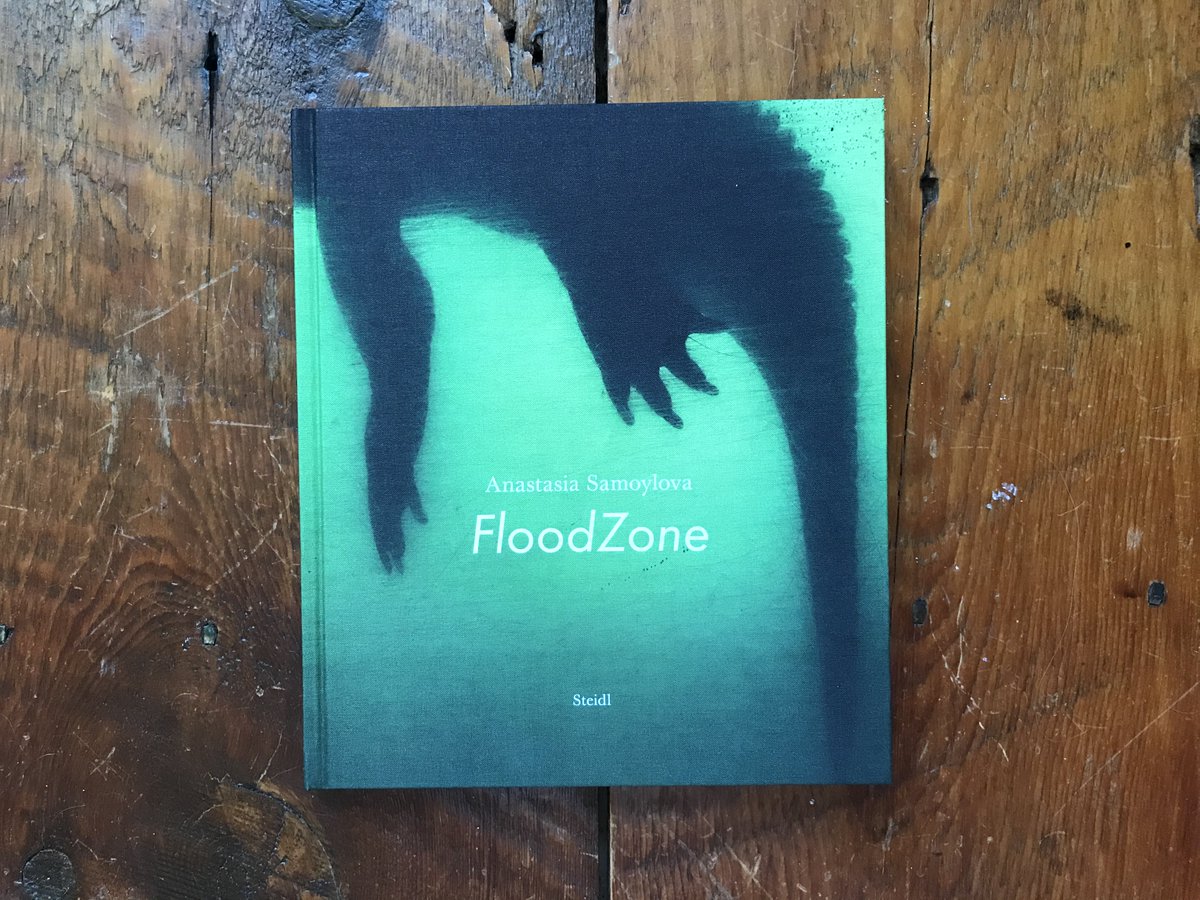 CollectorDaily's tweet image. Our Shelter-in-Place Photobook Count-Up has now reached 40 reviews. And onward we go. collectordaily.com/category/photo…