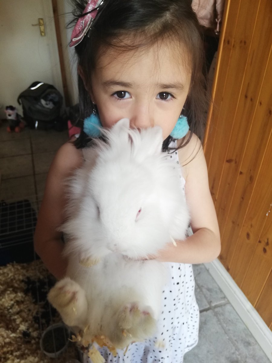 LILIJAKMA's tweet photo. @jns_san Amelie loves her little pets bunny. She also helping her little sister making little mices. https://t.co/0UwuGtJMJN