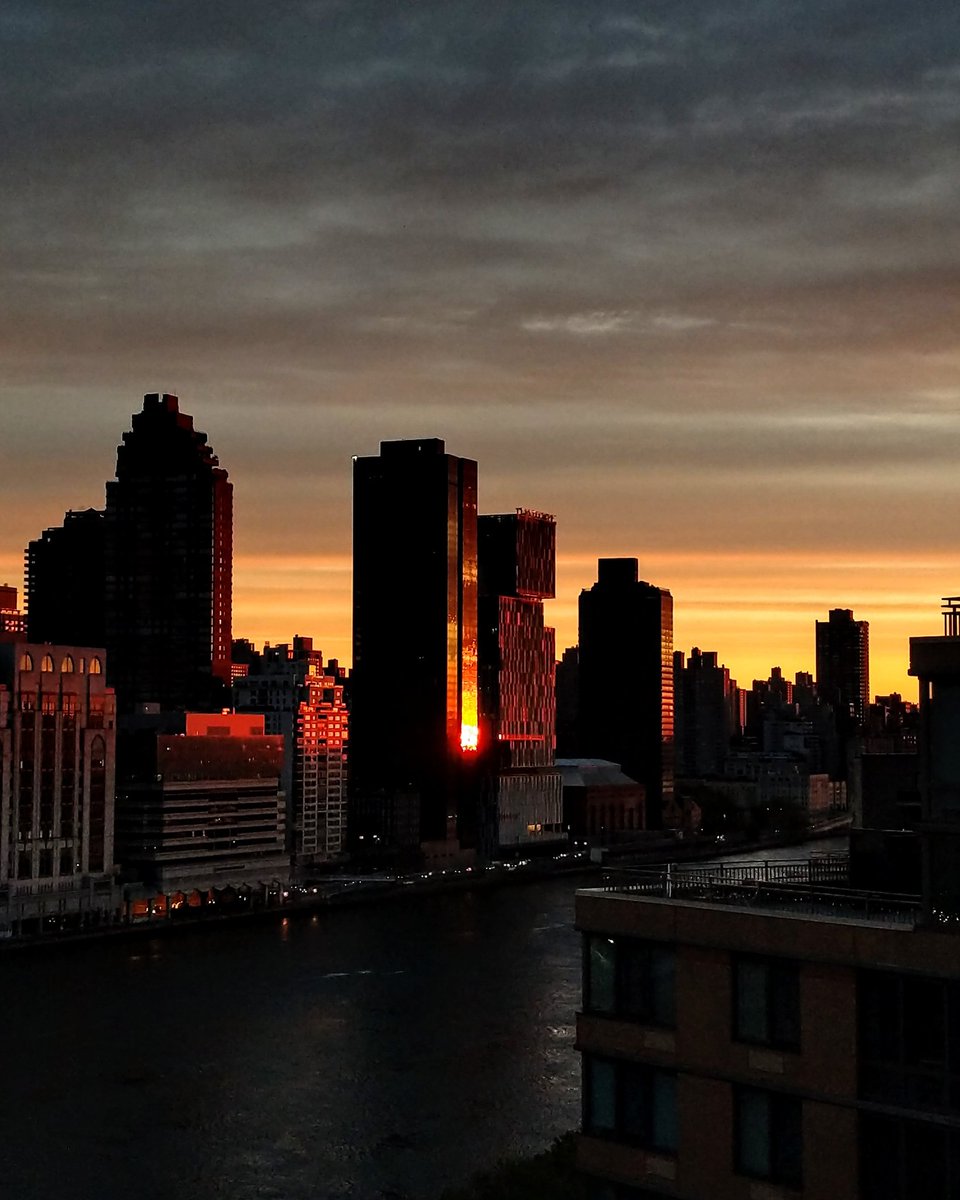 shipragrover's tweet image. My morning was too pretty to not click. #wednesdaymorning #pandemicdiary