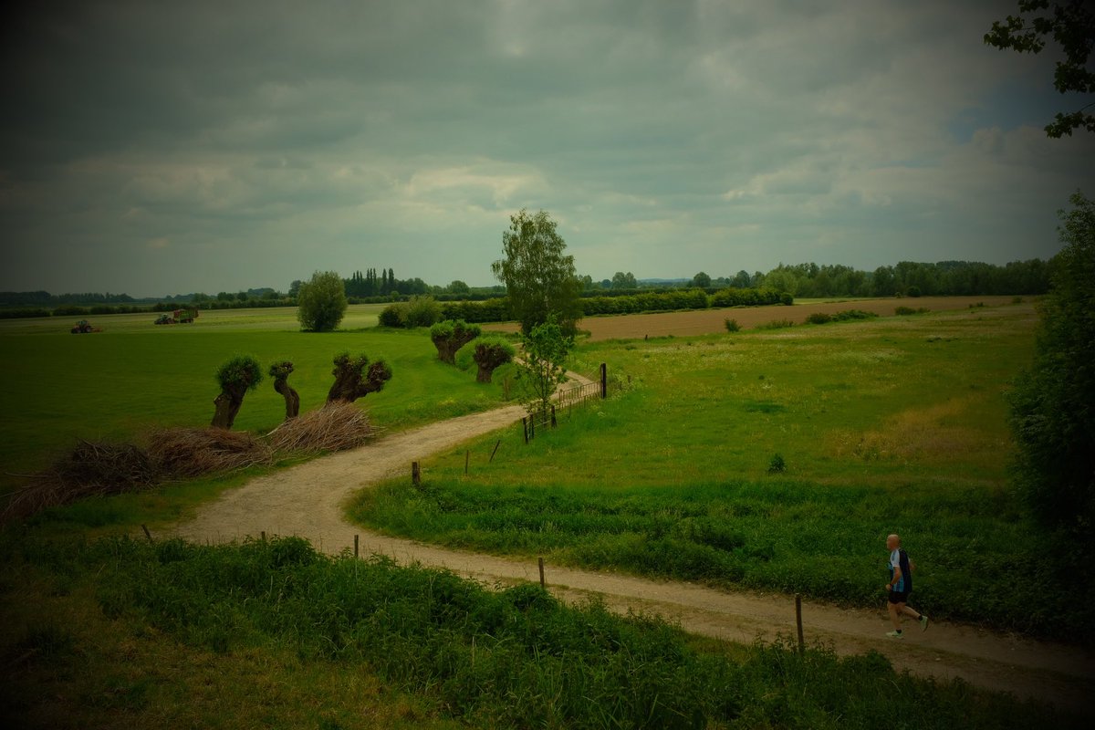 Sherefedin Mustafa tweet media