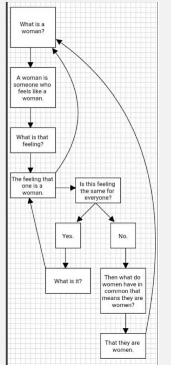 What IS a woman?"A women is anyone who feels like a woman"This handy (stolen) flow chart shows why that is absolute nonsense. 2/
