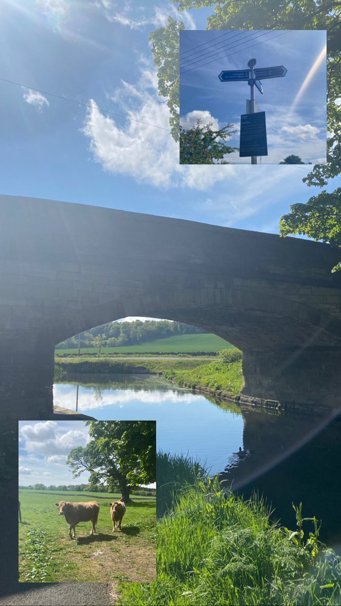 𝙴𝙲 🦋 tweet media