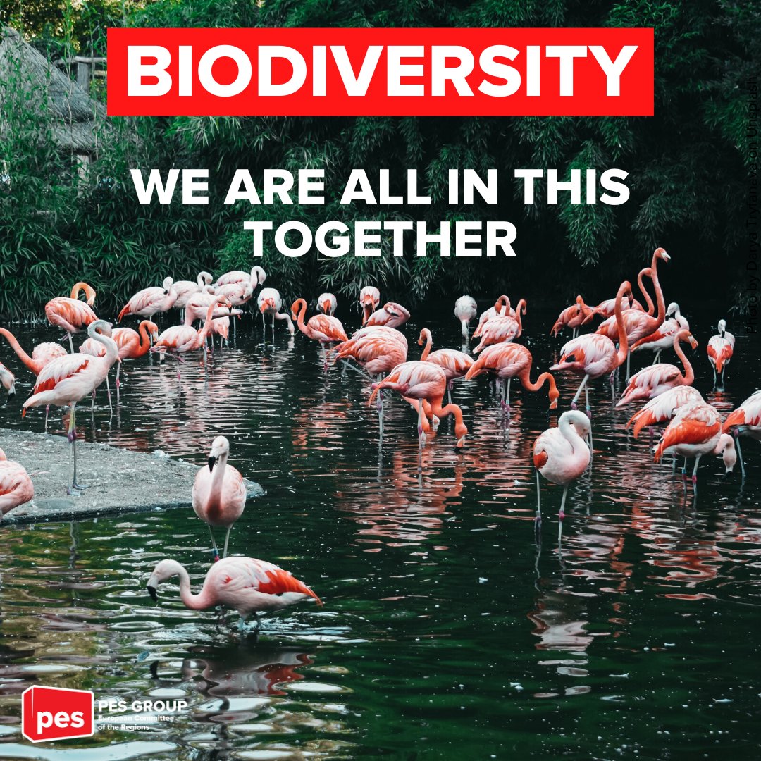 Happy #BiodiversityDay! 🌻🌍🐋

We must all protect the biodiversity and we need strong 🇪🇺 legislation to do it! 

Our member and @eu_cor rapporteur <a href="/BiwerR/">Biwer Roby</a> 🇱🇺 says, "it is more important than ever to consider the biodiversity strategy a main pillar of the #EUGreenDeal."