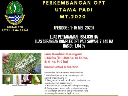 BptphJ's tweet photo. Perkembangan OPT Utama Padi MT. 2020 (1) https://t.co/2JMxWcX0Dp