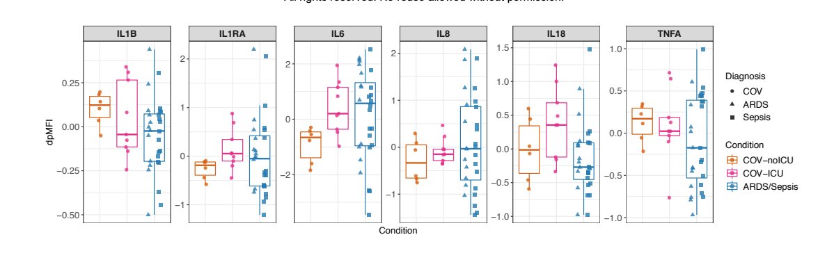 Saman Nematollahi tweet media
