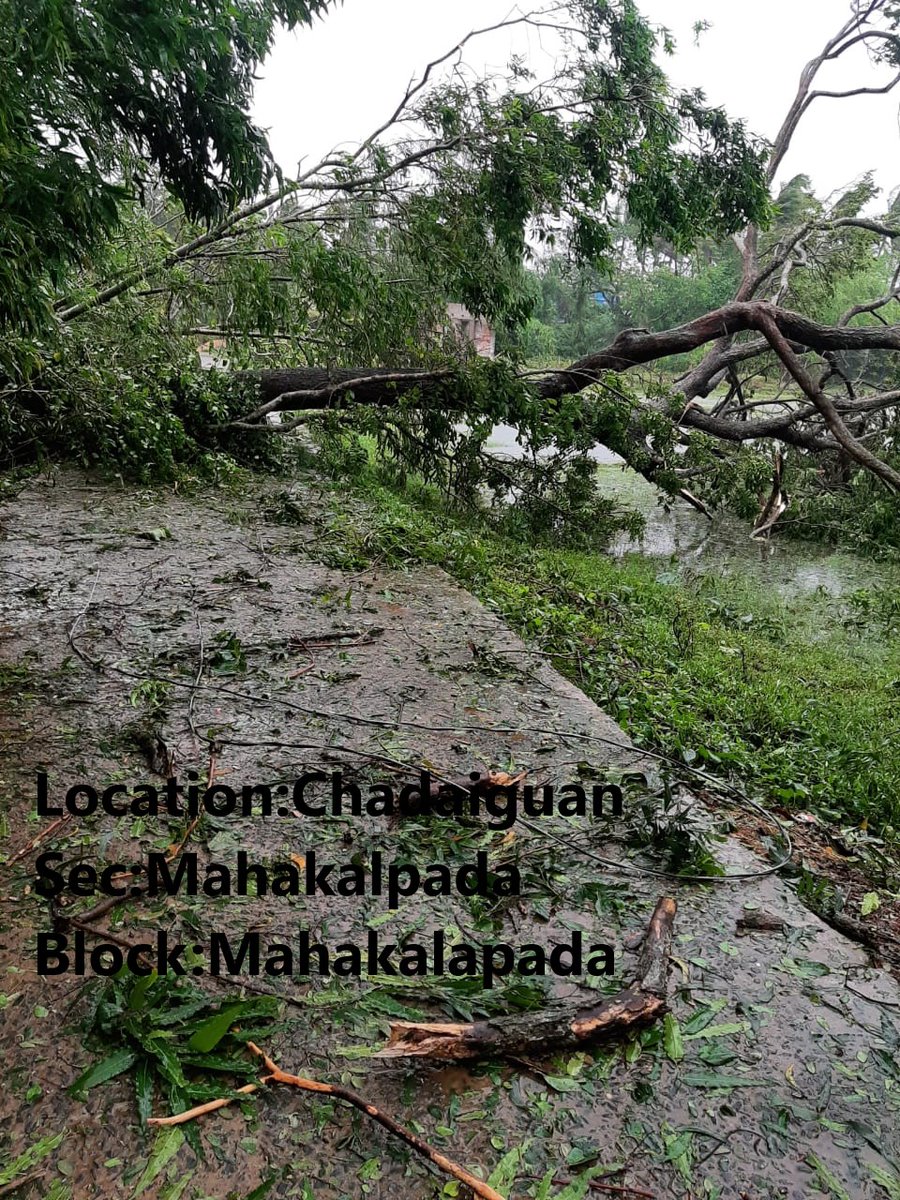 Energy Odisha tweet media