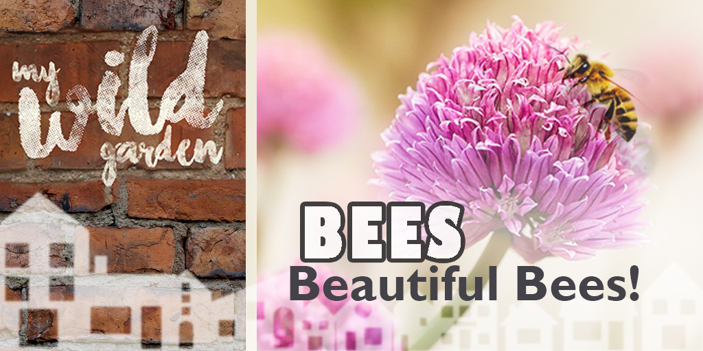 One Trafford tweet media