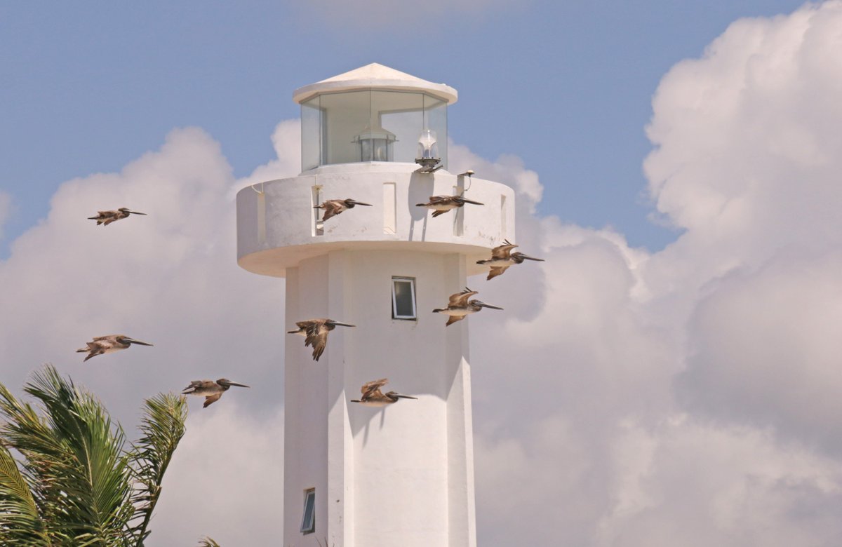 #FelizMiércoles amig@s. Nos estamos preparando para iniciar la reactivación económica. #QuédateEnCasa siguiendo las estrictas medidas de higiene y distanciamiento social. 
#JuntosSaldremosAdelante #PuertoMorelos