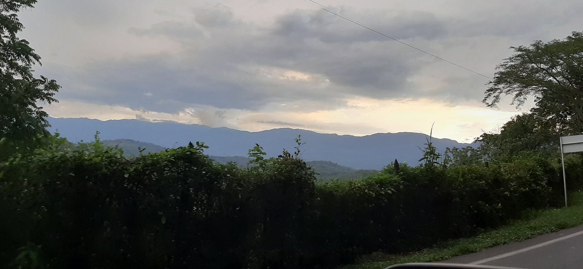 Seviche526's tweet photo. @DaniielaDaza Hola acá te dejo un atardecer y un saludo https://t.co/7LO8nQZHlg