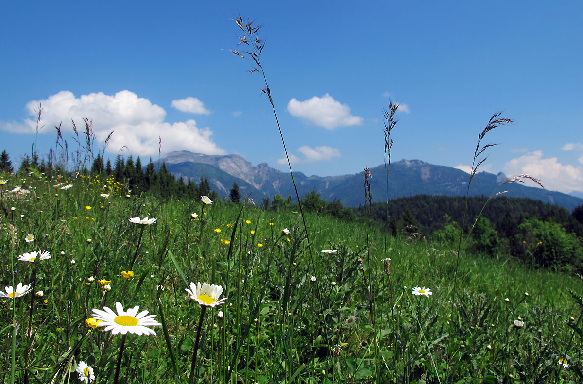 tourentipp.com tweet media