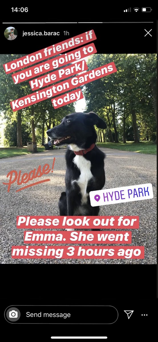 BeckyBrigidPT's tweet photo. Has anyone seen this dog? Her name is Emma &amp; she was lost in Hyde Park/Kensington Gardens this morning? Please get in touch if you find her!! @DT_Harefield @DoglostUK @MissingPetsGB @RSPCA_official #london #HydePark #kensingtongardens #lostdog #lostdoglondon #help https://t.co/QTc6OHK5hI
