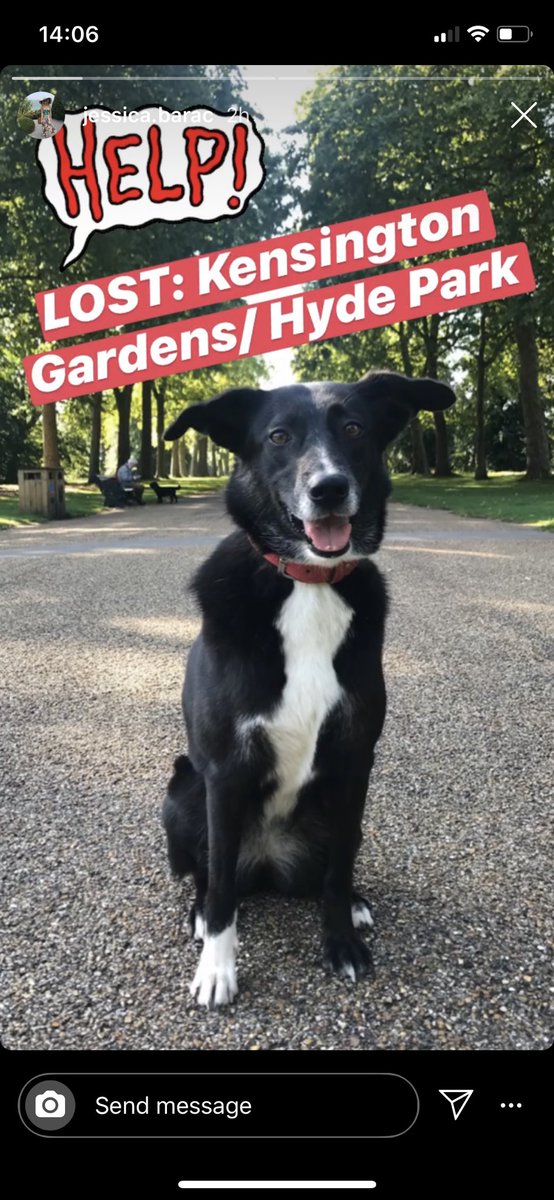 BeckyBrigidPT's tweet photo. Has anyone seen this dog? Her name is Emma &amp; she was lost in Hyde Park/Kensington Gardens this morning? Please get in touch if you find her!! @DT_Harefield @DoglostUK @MissingPetsGB @RSPCA_official #london #HydePark #kensingtongardens #lostdog #lostdoglondon #help https://t.co/QTc6OHK5hI