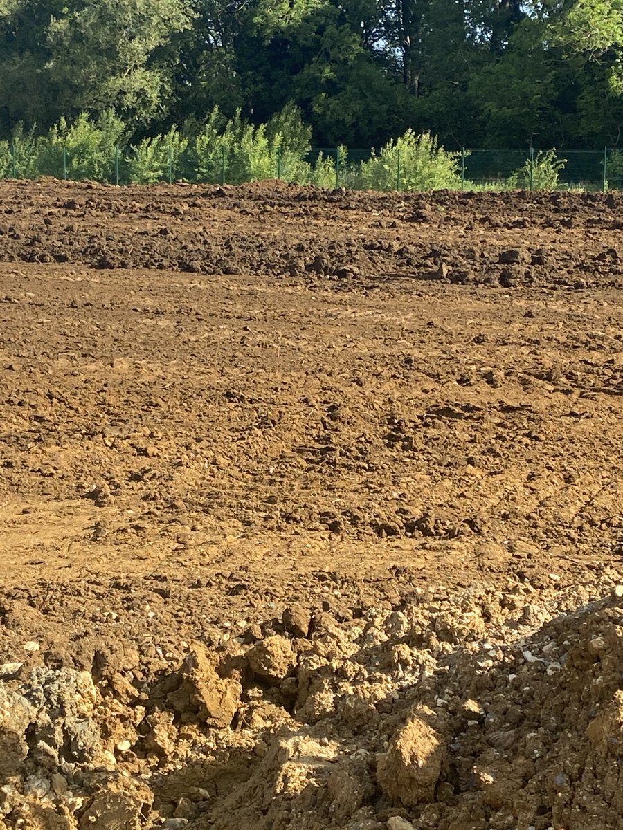 Sportfields_Ltd's tweet photo. Earthworks underway at the new Badbury Park School, Swindon for @ISGplc https://t.co/TQxZg0TWvT