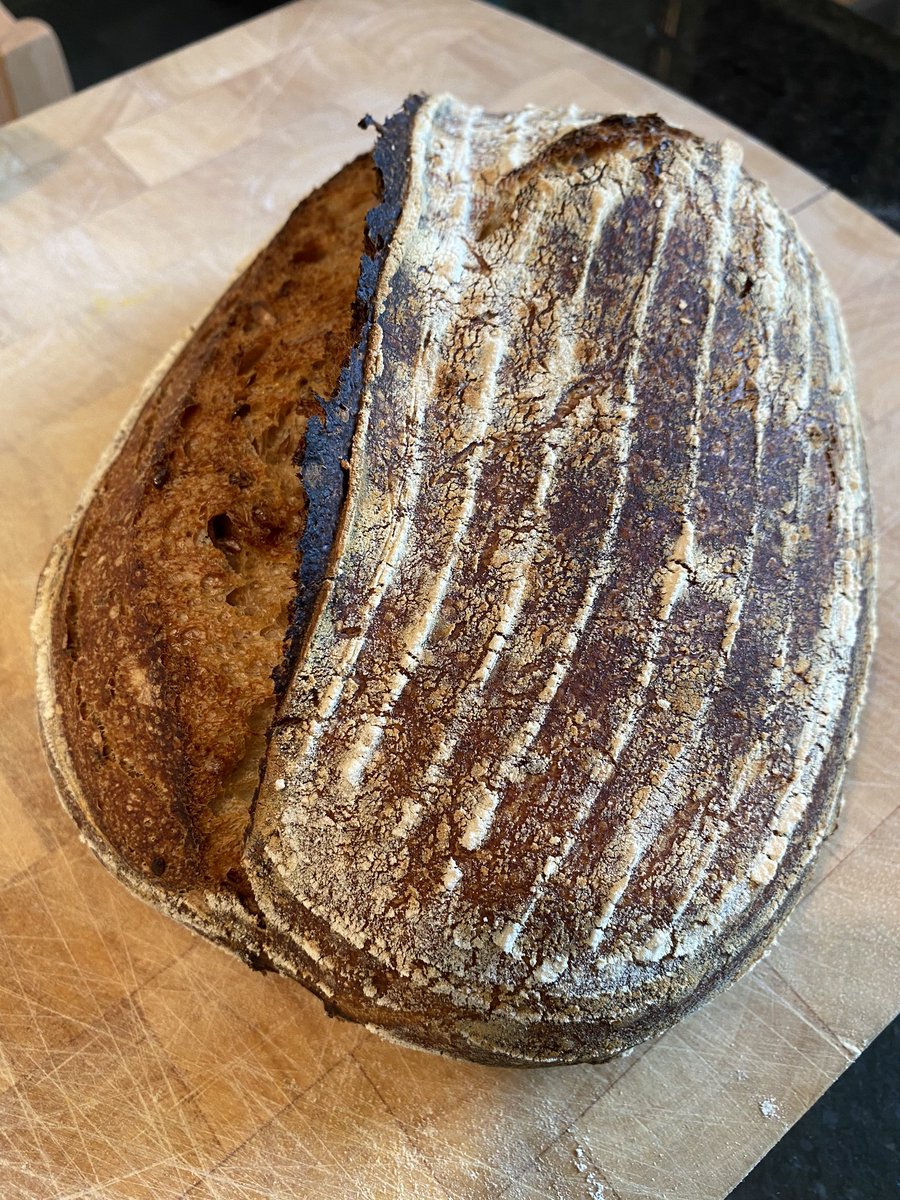Malted Wheat, barley, rye, <a href="/BaronyMill/">Barony Mill Orkney</a> beremeal and mixed seed #sourdough .
A decent way to keep your mind occupied when waiting for government guidance and a hopeful reopening <a href="/TheGannetGla/">The Gannet</a> .