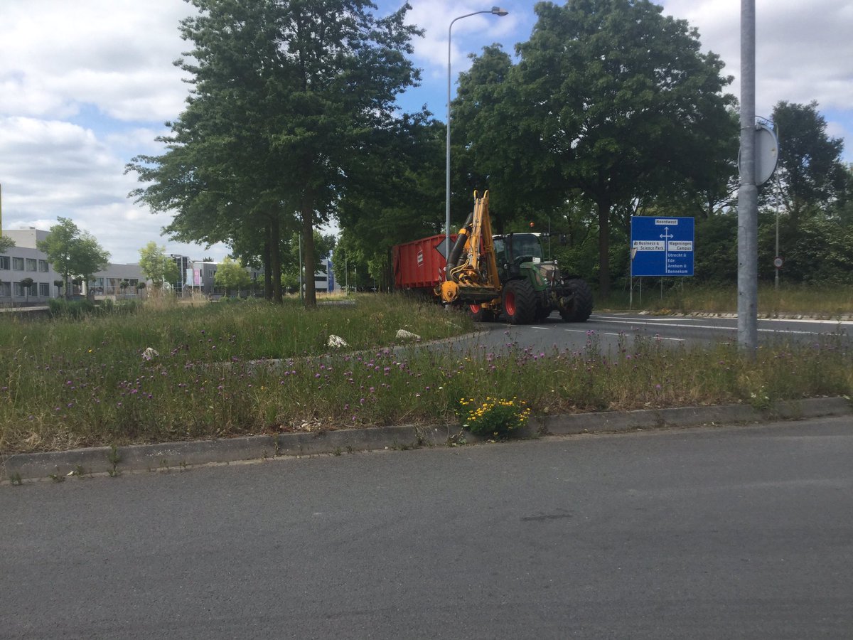 rvr6's tweet photo. .het #bloemenvreetmonster van @Gem_Wageningen (firma Veenhuis - Vaarkamp) is weer gesignaleerd bij #Kortenoord Allee. Het is #begot 20 mei! @MooiWageningen doe er wat aan, @BijleveldE https://t.co/clEgdNiNpq