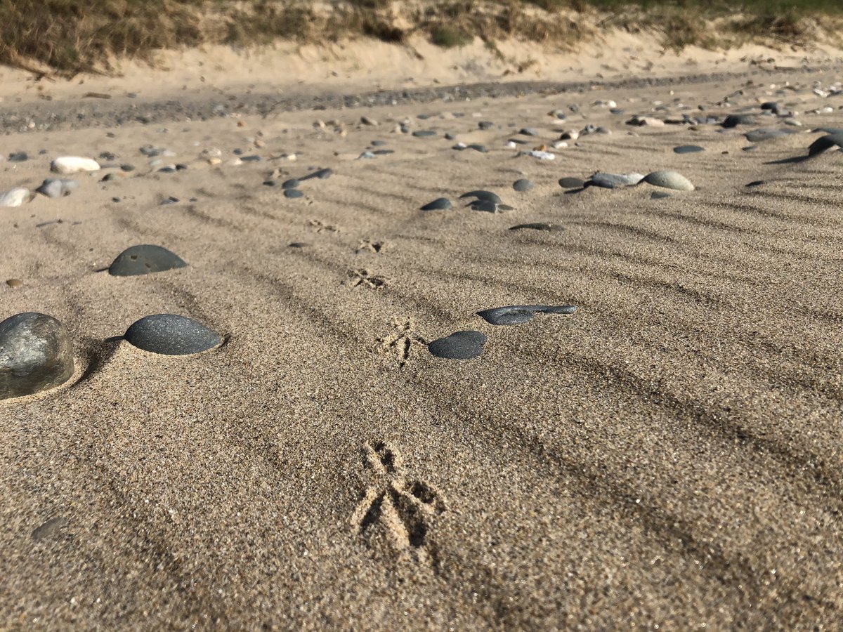 Day 2/7 life in pictures. Rules no people no words. Nominate someone new each day. Thanks to <a href="/lwhelan73/">Lynne Whelan</a> for nominating me! Today I nominate <a href="/ImPadraigHolmes/">Pádraig Holmes</a>