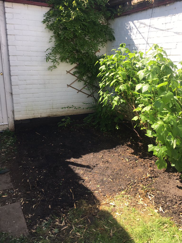 I have a new-found respect for gardeners after spending almost two hours weeding, digging, hoeing, raking and hand-picking stones out of this bed: it's absolutely knackering work. Very rewarding though: I now have a calm mind alongside the well-deserved sweat.