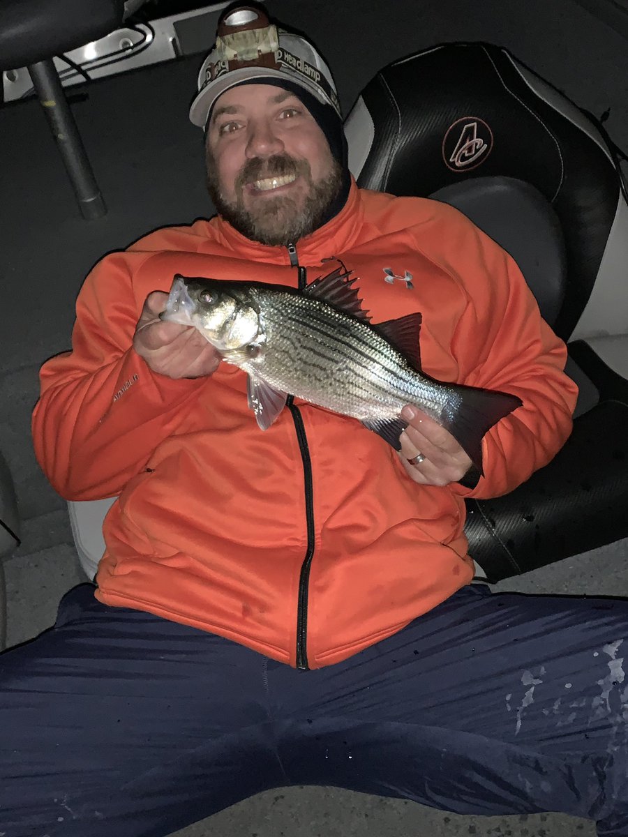 WallyBites's tweet photo. Wally Bites Attacks The Stripers - a few little guys too... #wallybites , #pafish, #fishpa, #bassfishing, #Lakefishing, #paboating, #lakemonsters, #cabelas, #freshwaterangler, #striper, #walleye, #bass, #lakeville, #berkleyfishing #stcroixrods #hookedupgs #keitech https://t.co/O7qjNASELO