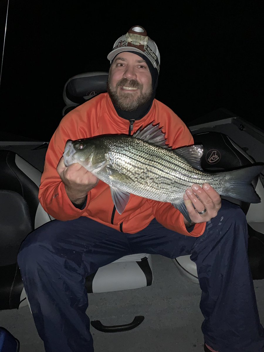 WallyBites's tweet photo. Wally Bites Attacks The Stripers - a few little guys too... #wallybites , #pafish, #fishpa, #bassfishing, #Lakefishing, #paboating, #lakemonsters, #cabelas, #freshwaterangler, #striper, #walleye, #bass, #lakeville, #berkleyfishing #stcroixrods #hookedupgs #keitech https://t.co/O7qjNASELO