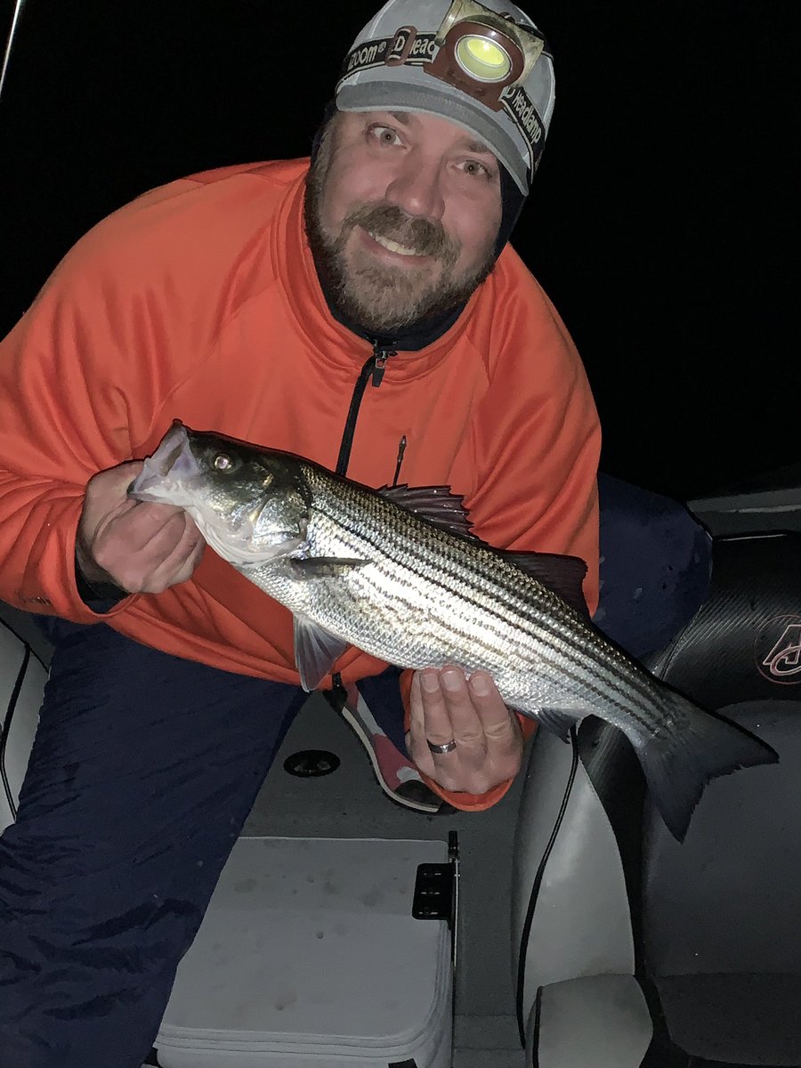 WallyBites's tweet photo. Wally Bites Attacks The Stripers - a few little guys too... #wallybites , #pafish, #fishpa, #bassfishing, #Lakefishing, #paboating, #lakemonsters, #cabelas, #freshwaterangler, #striper, #walleye, #bass, #lakeville, #berkleyfishing #stcroixrods #hookedupgs #keitech https://t.co/O7qjNASELO