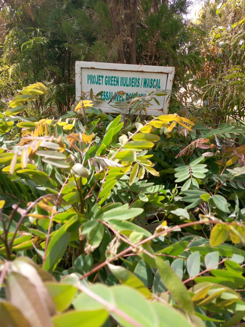 PGreenBuilders's tweet photo. The second phase of plant nursery activities with project stakeholders at the Ouaga 2000 experimental site (rainy season)

#wastemanagement
 #wasterecycling
 #wasterepurposing
#sanfo.s@wascal.org https://t.co/Zu54Sg8RdY