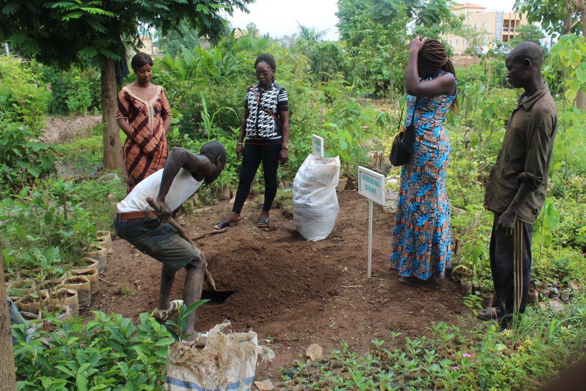 PGreenBuilders's tweet photo. The second phase of plant nursery activities with project stakeholders at the Ouaga 2000 experimental site (rainy season)

#wastemanagement
 #wasterecycling
 #wasterepurposing
#sanfo.s@wascal.org https://t.co/Zu54Sg8RdY