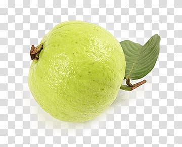 Guava